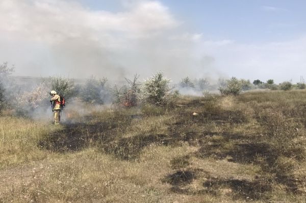 За неделю пожарные из Гагаузии потушили огонь на 44 гектарах горящего мусора и сухой травы