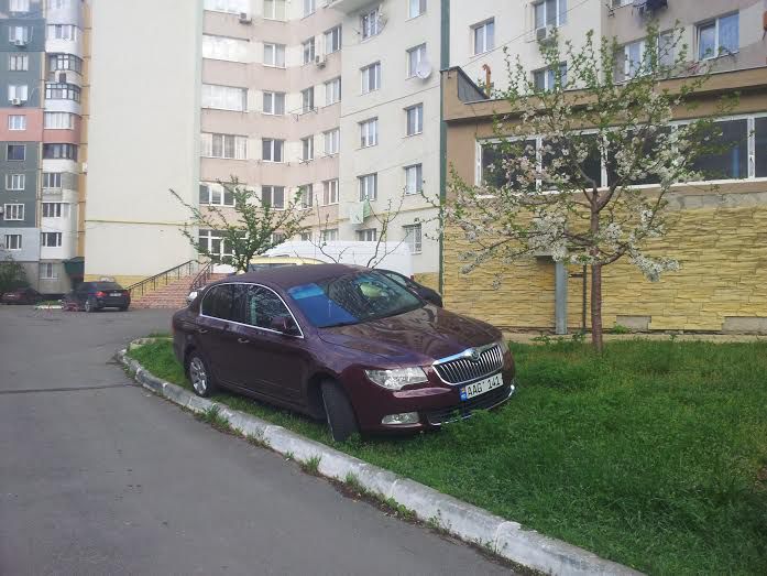 Кишиневец припарковался на газоне под цветущим деревом