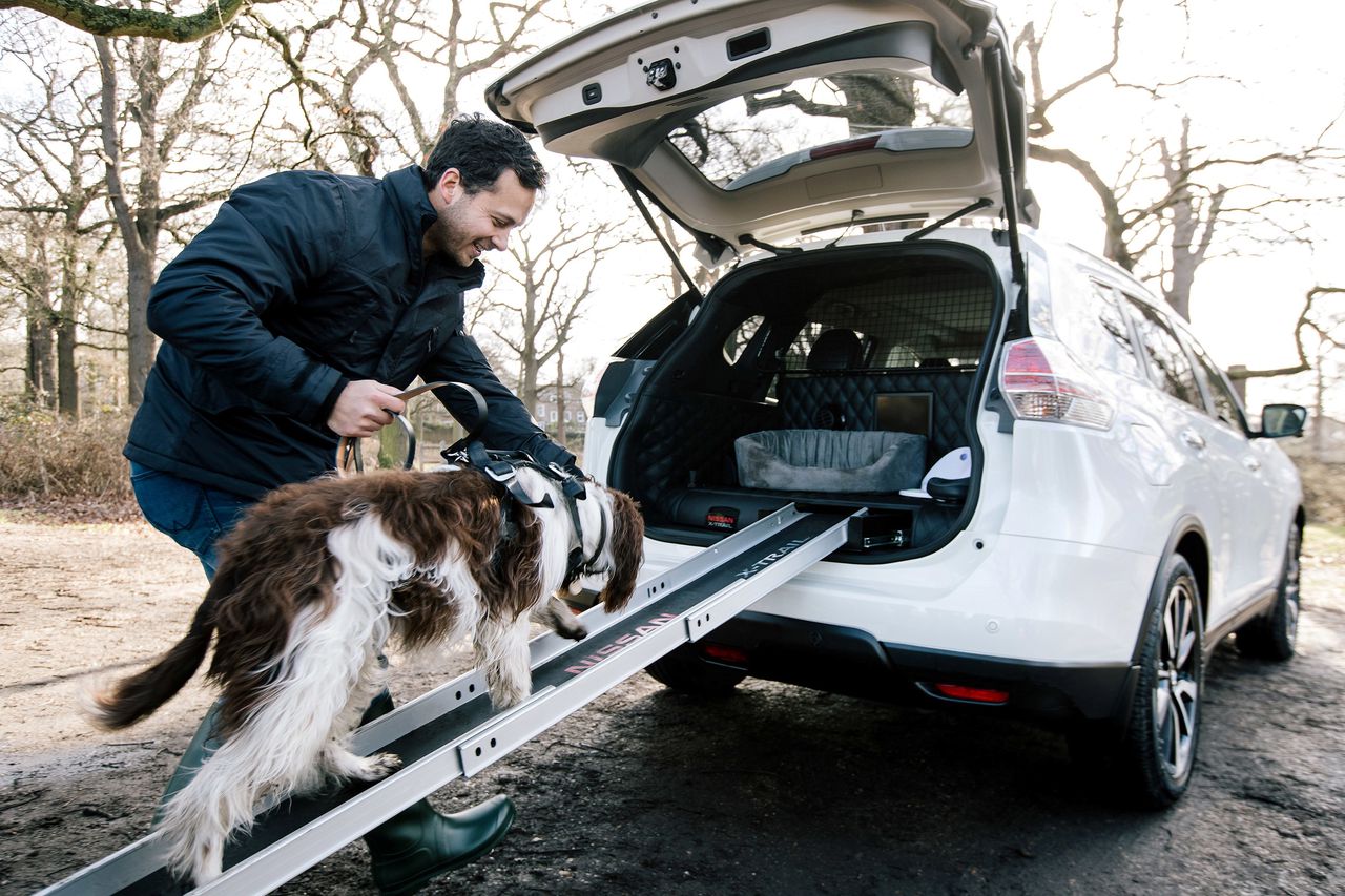 Nissan создал концепт-кар для собак X-Trail 4Dogs