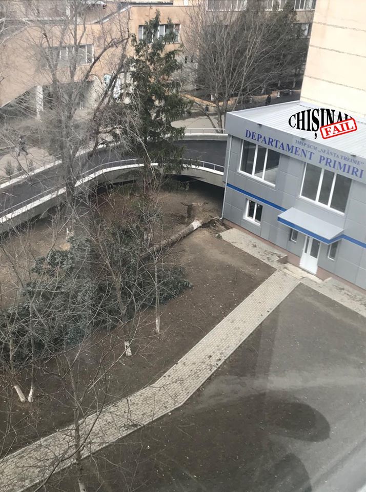 Сильный ветер в Кишиневе оборвал гирлянду над проезжей частью
