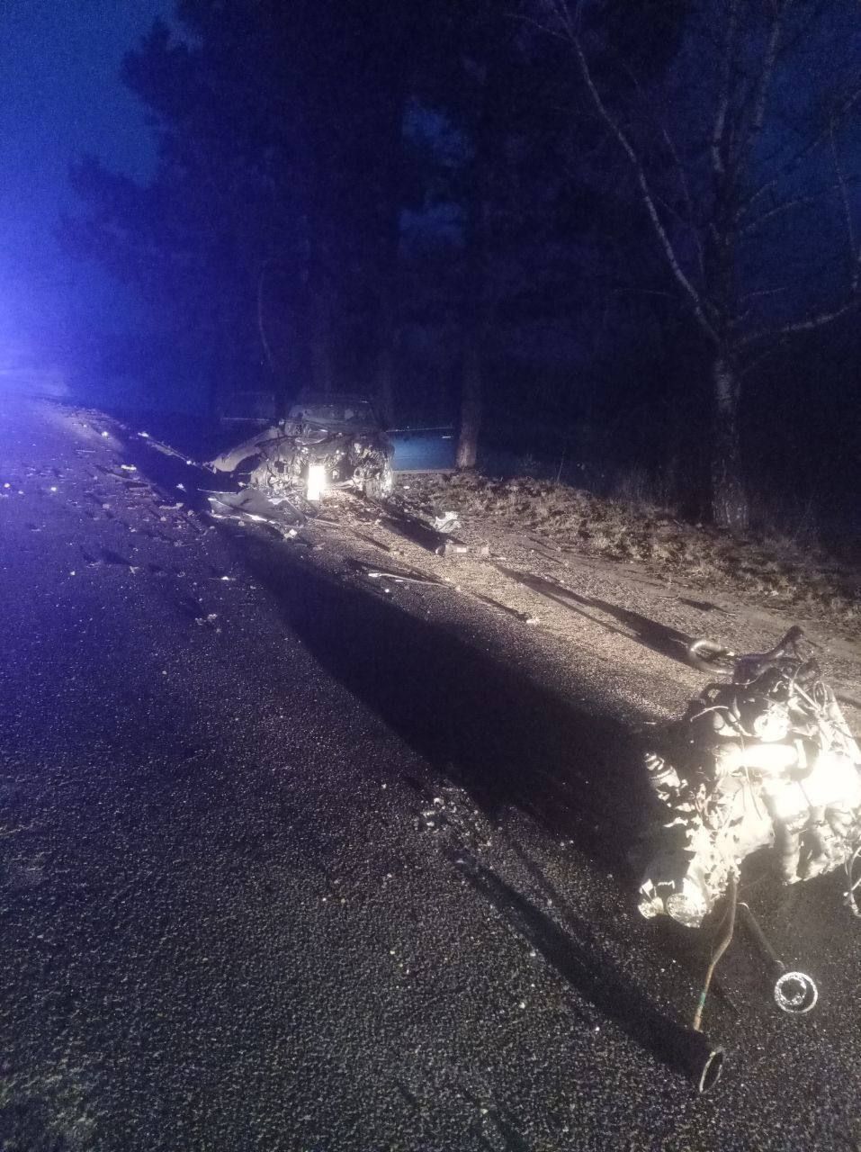 В Молдове водитель на скорости 255 км/ч врезался в дерево