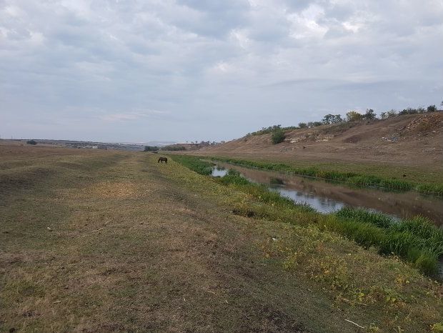 Зазуляк: Снижение уровня воды в реке Реут не обусловлено работой малой ГЭС в Брынзений Ной