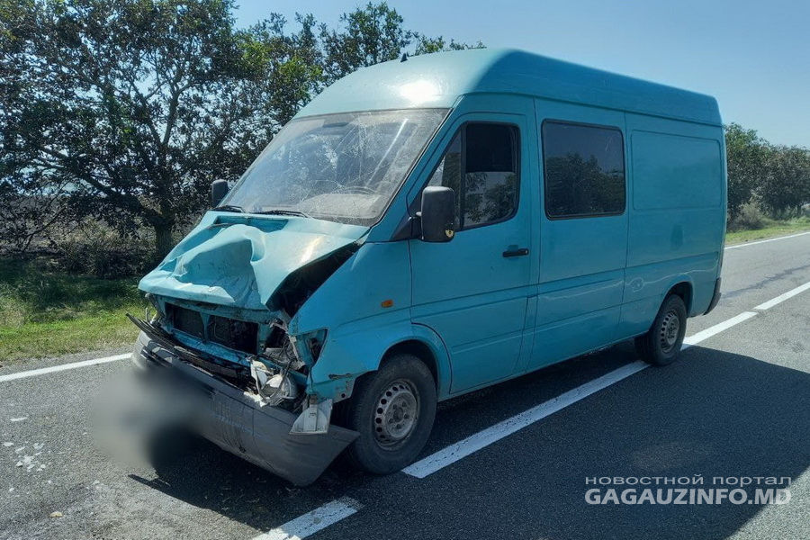 В результате сжигания стерни в Буджаке произошло сразу несколько аварий