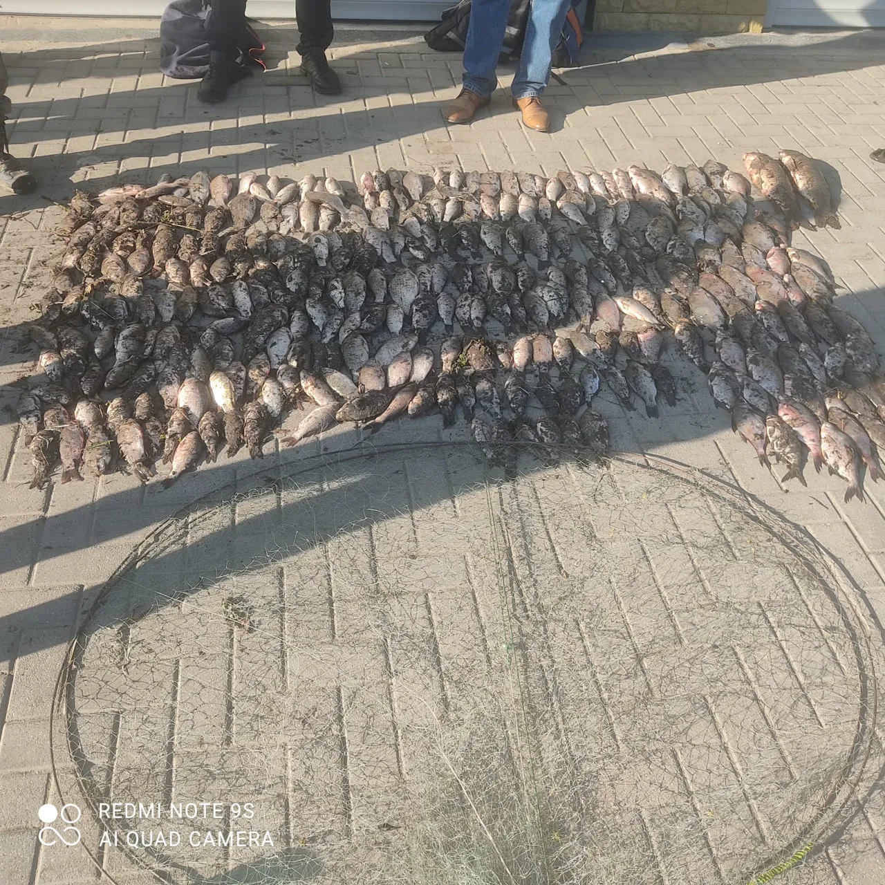 Четверо мужчин задержаны за незаконную рыбалку: они поймали 41 кг рыбы