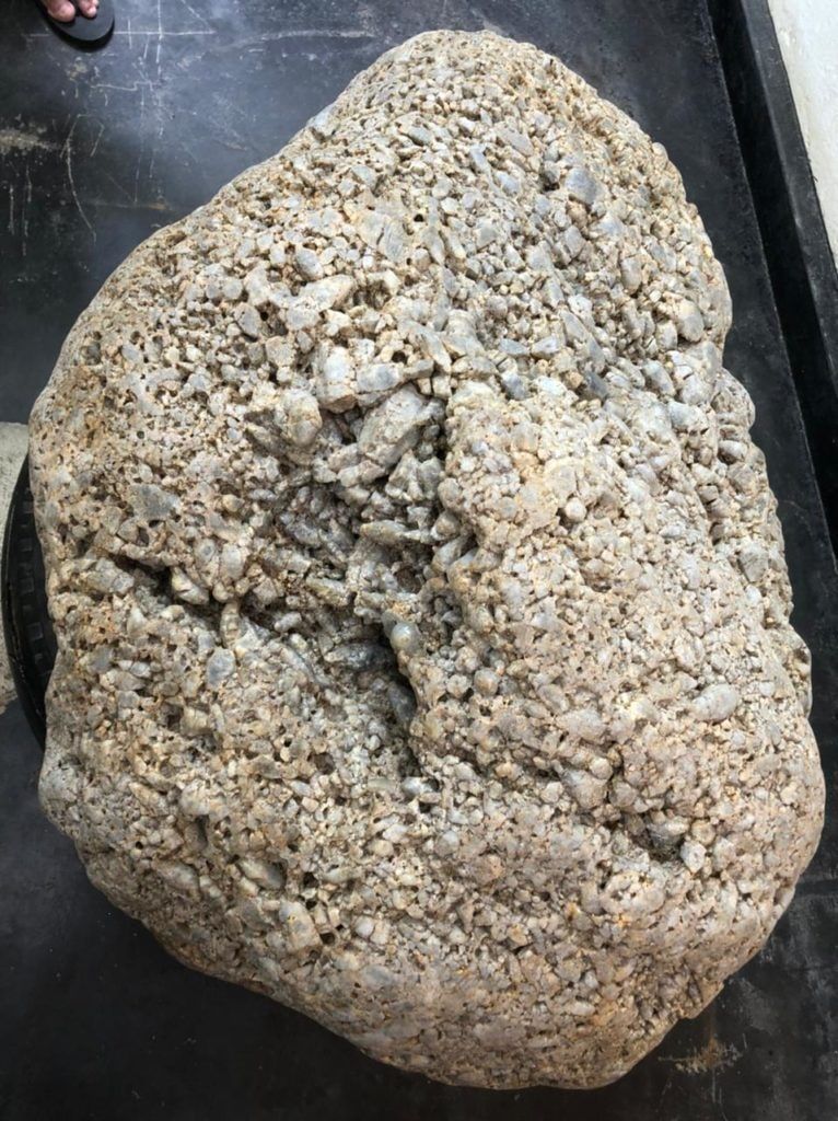 На Шри-Ланке нашли самое крупное скопление звездчатых сапфиров в мире