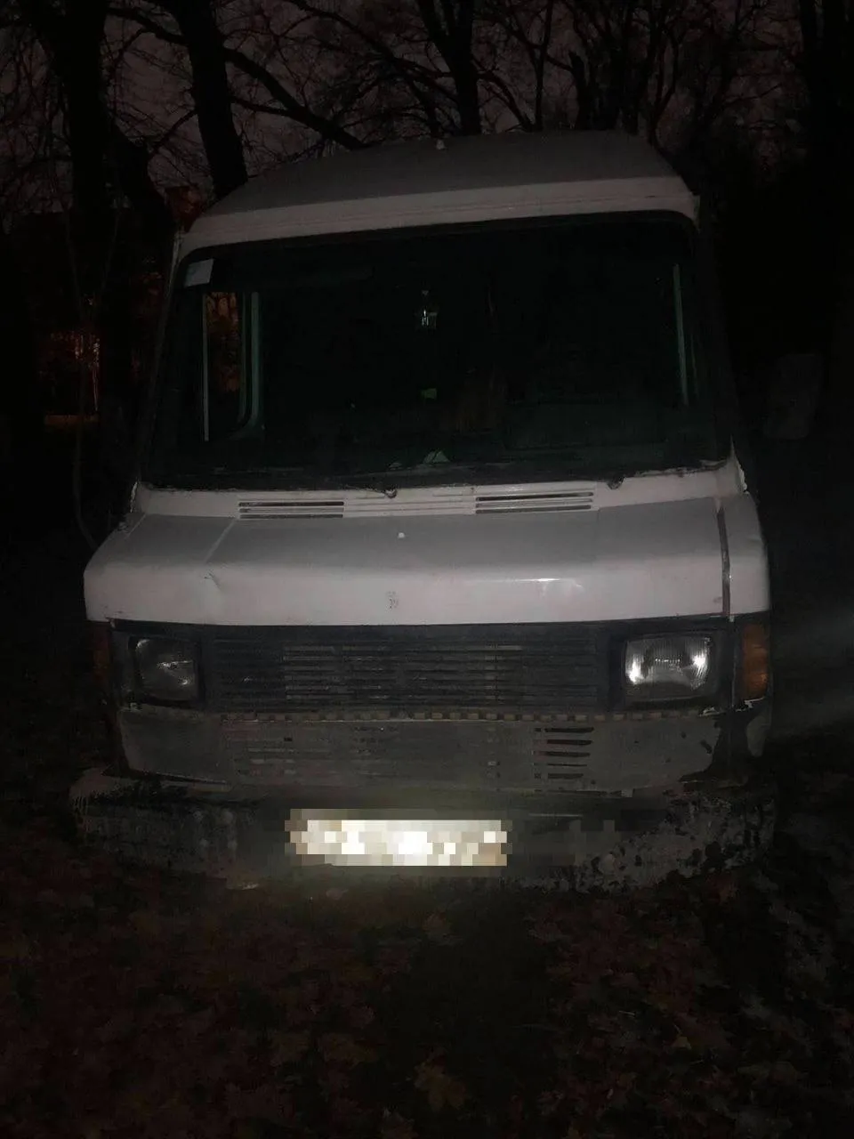 Жителей Кишинева задержали за вырубку городских деревьев на дрова