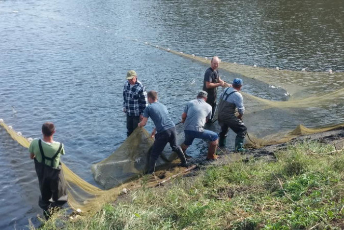 Проведено зарыбление Кучурганского водохранилища