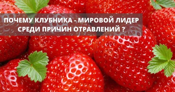 LactoBioEnterosGel: Осторожно, первая клубника: как избежать весеннего отравления