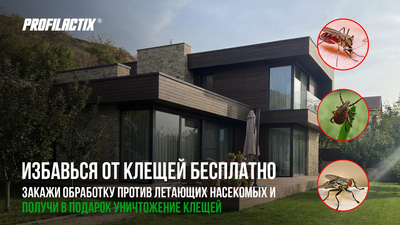 Profilactix: Получи в подарок уничтожение клещей во дворе, акция для первых 100 записей