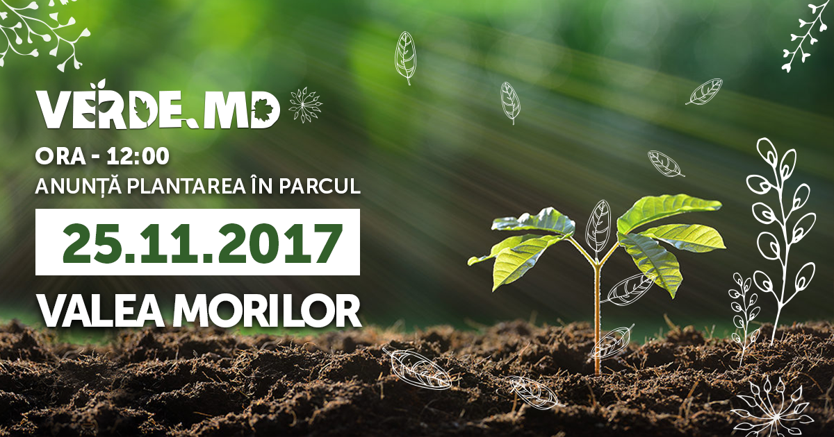 Verde.md: În parcul Valea Morilor vor fi sădiți încă 20 de arbori