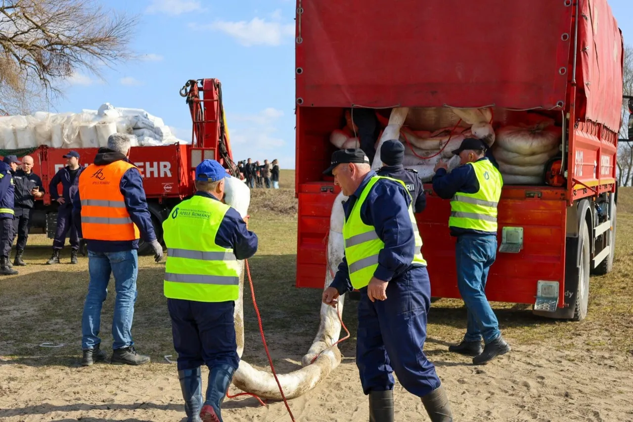 В Кошнице установлены еще две дамбы: Молдова получила третий пакет помощи от Румынии