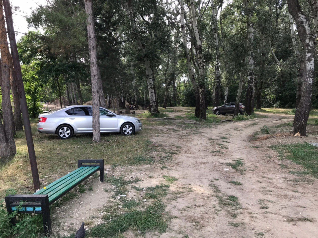 Автомобилисты стали парковаться прямо в парке на Скулянке