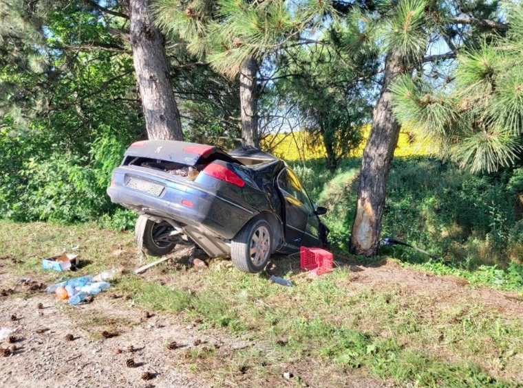 В Рышканах водитель, превысивший скорость, врезался в дерево