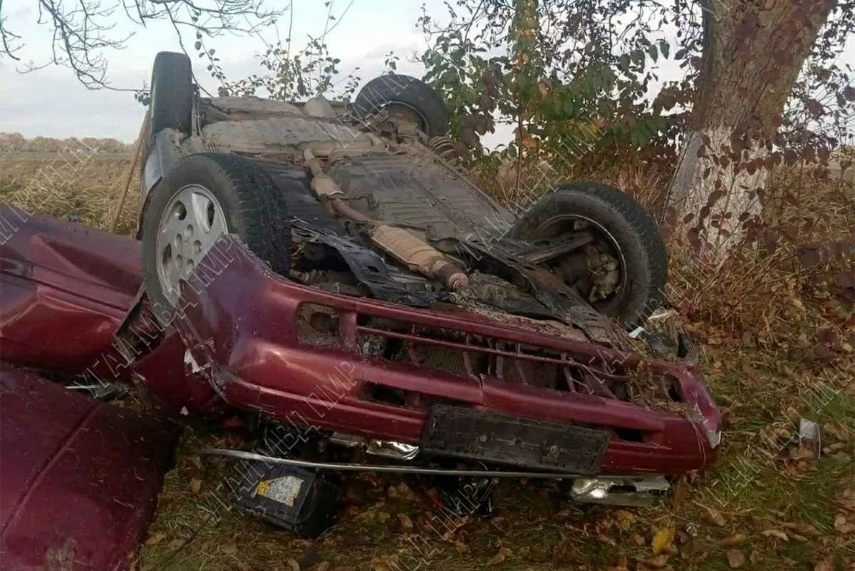 В Приднестровье машина врезалась в дерево