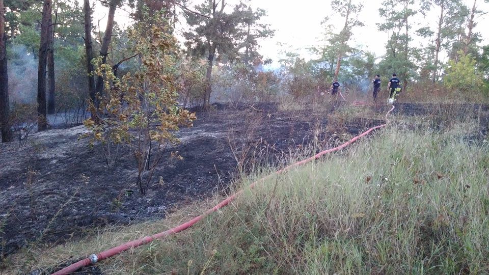 Incendiu în pădurea care desparte sectoarele Râșcani și Ciocana
