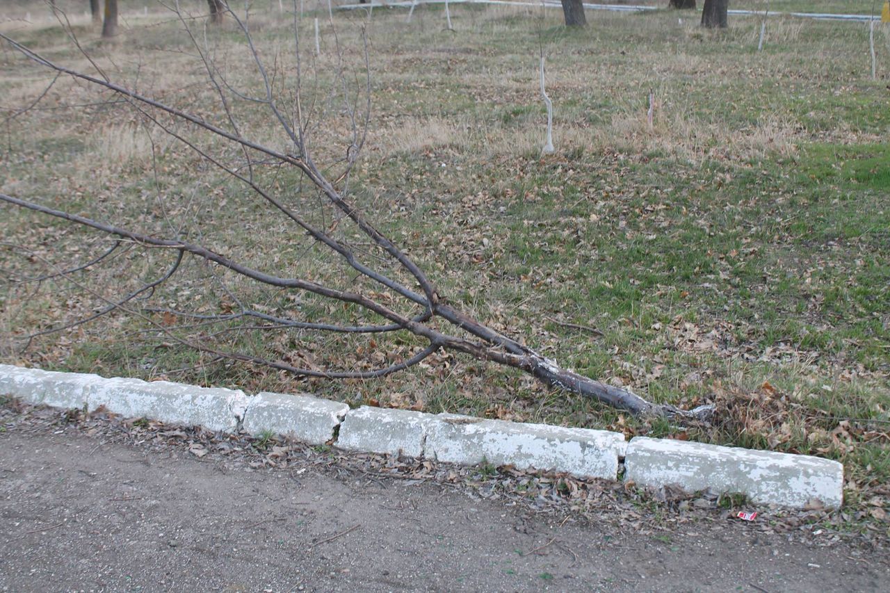 Parcul din Căușeni, vandalizat: Mai multe bănci și coșuri de gunoi, distruse