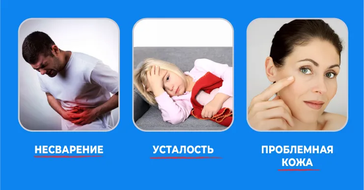 Lacto-G: Почему страдает пищеварение в условиях мегаполиса?