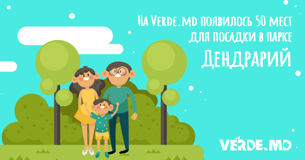 Verde.md: В парке Дендрарий весной посадят 50 деревьев