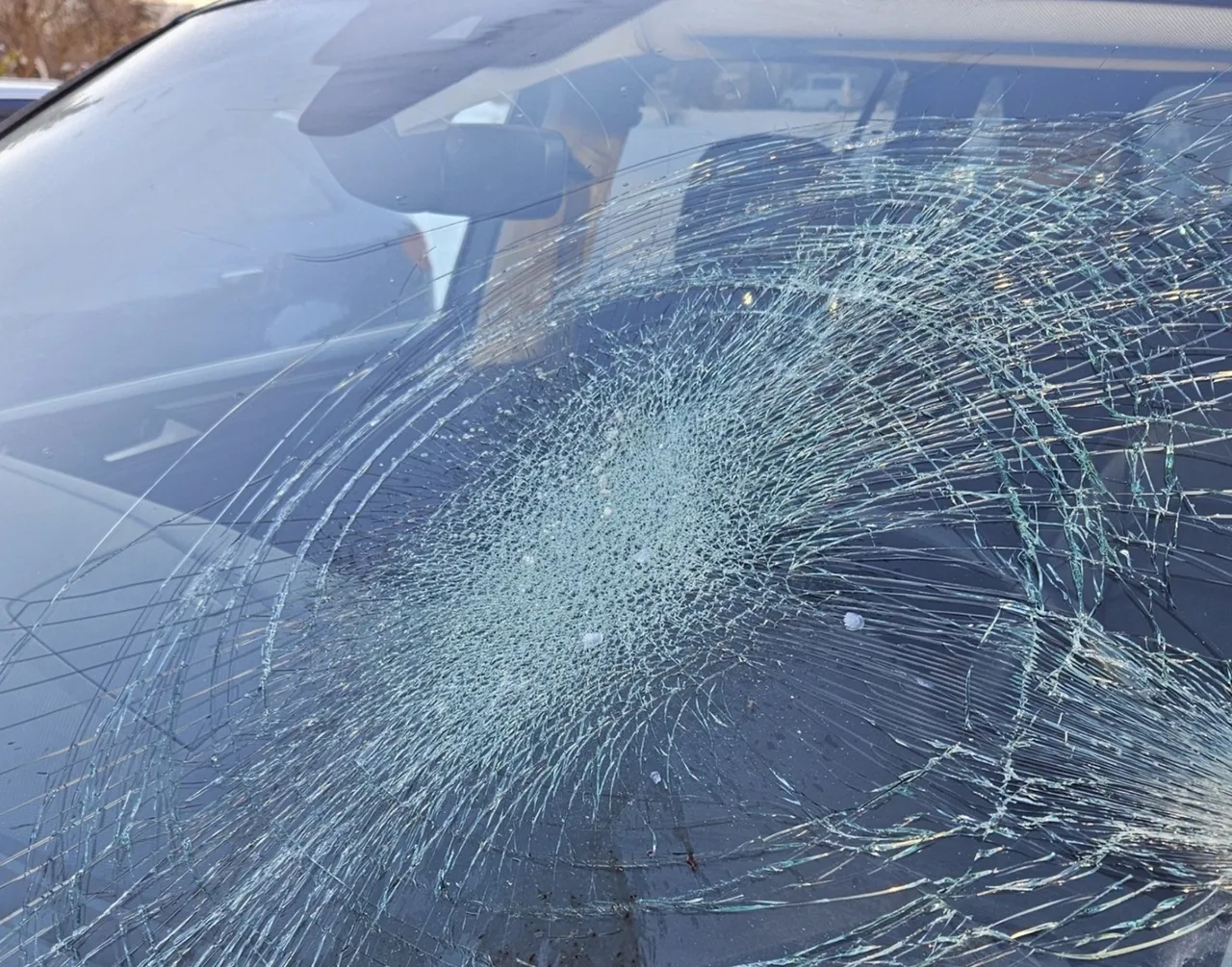 Рыба, упавшая с неба в Латвии, повредила автомобиль