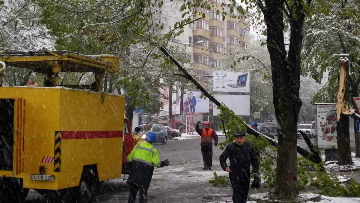 Zăpada doboară copacii în Capitală. Sute de locuitori au rămas fără energie electrică