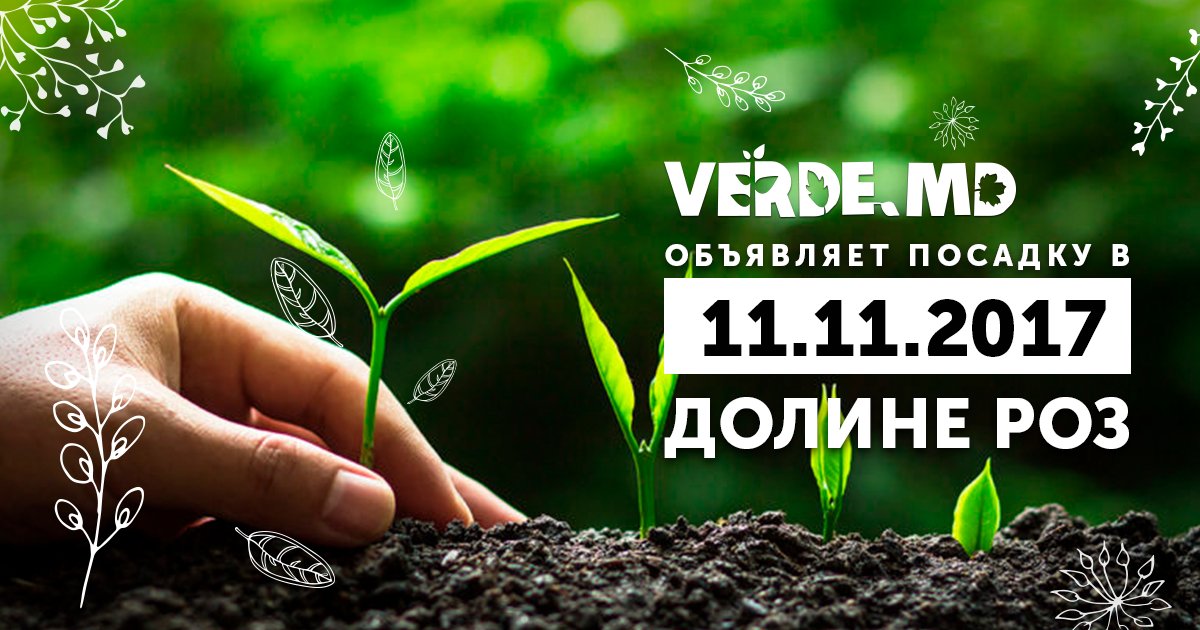 В парке Долина Роз будут посажены 90 деревьев
