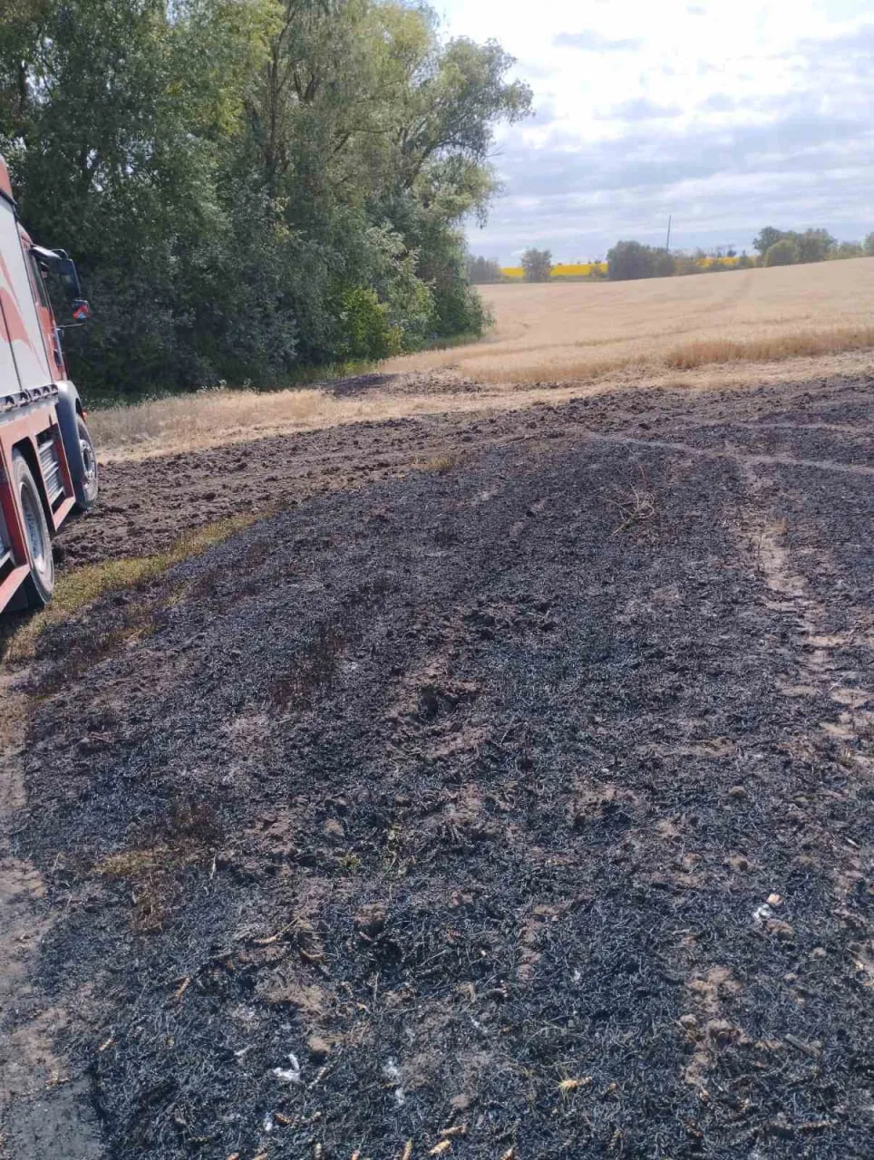 В Новоаненском районе пожар уничтожил около 7 га посевов зерновых культур