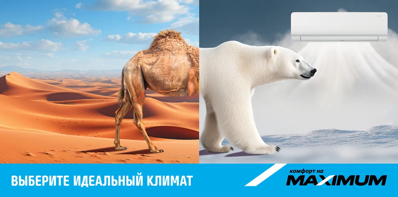 Комфортное лето начинается в Maximum: кондиционеры, вентиляторы и климатическая техника по выгодным ценам