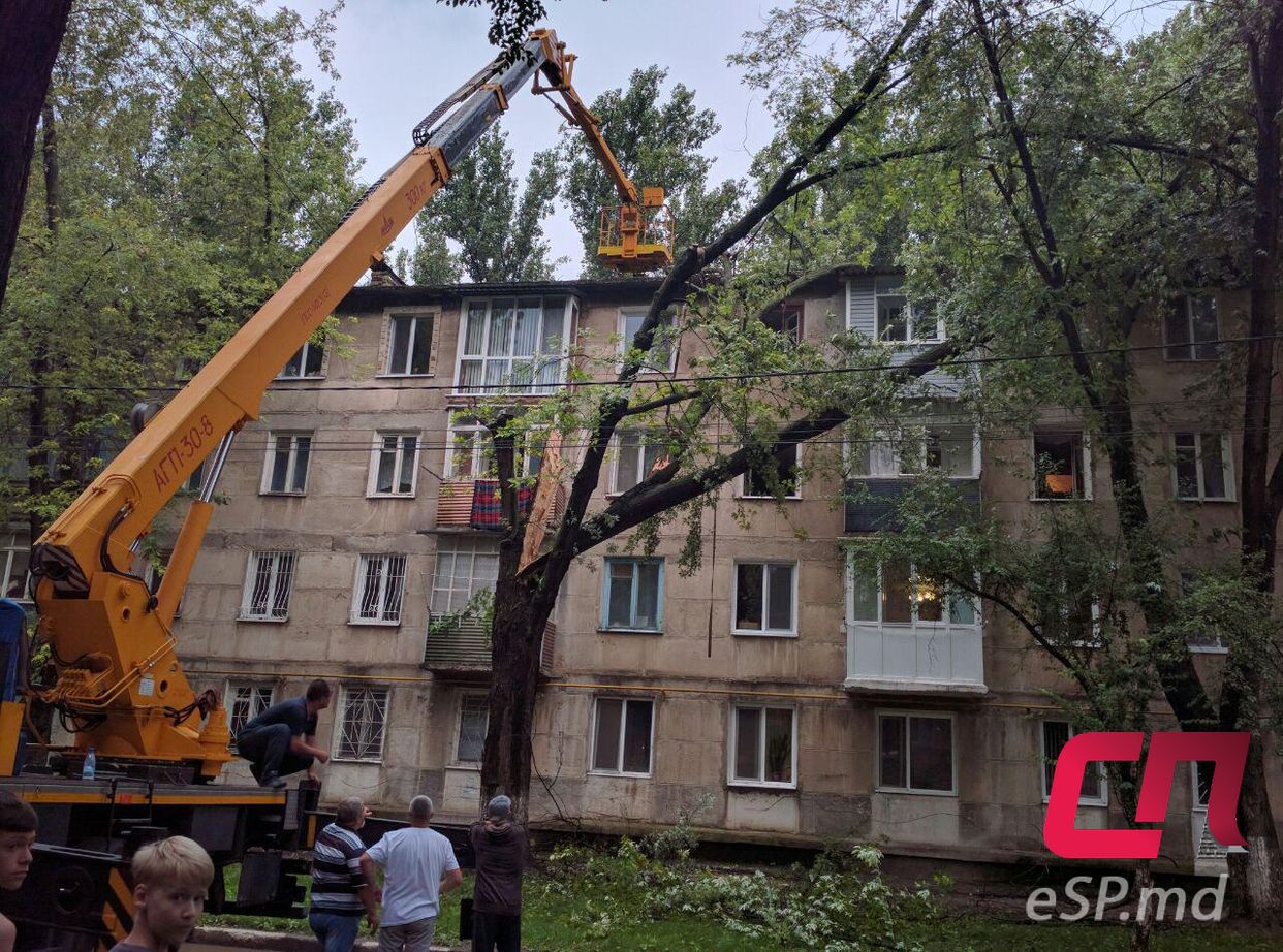 Последствия грозы в Бельцах: поваленные деревья, ветви на крышах машин