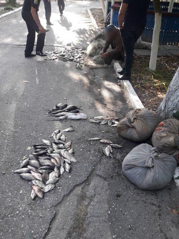 Пограничники поймали браконьеров с запрещенными рыболовными снастями и 25 кг рыбы
