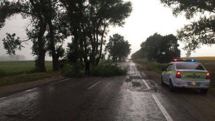 Furtuna de aseară a făcut prăpăd în mai multe raioane ale ţării