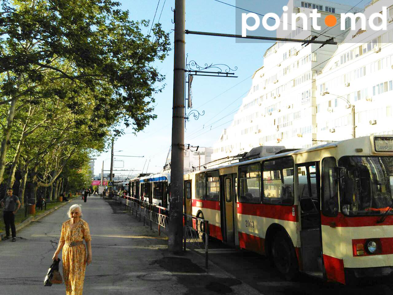 На Ботанике встали троллейбусы