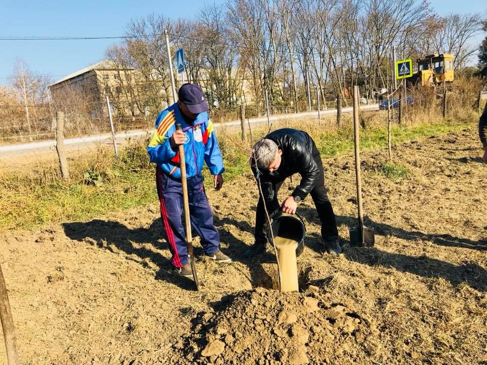 Александру Жиздан вместе с жителями родного села посадил 150 деревьев