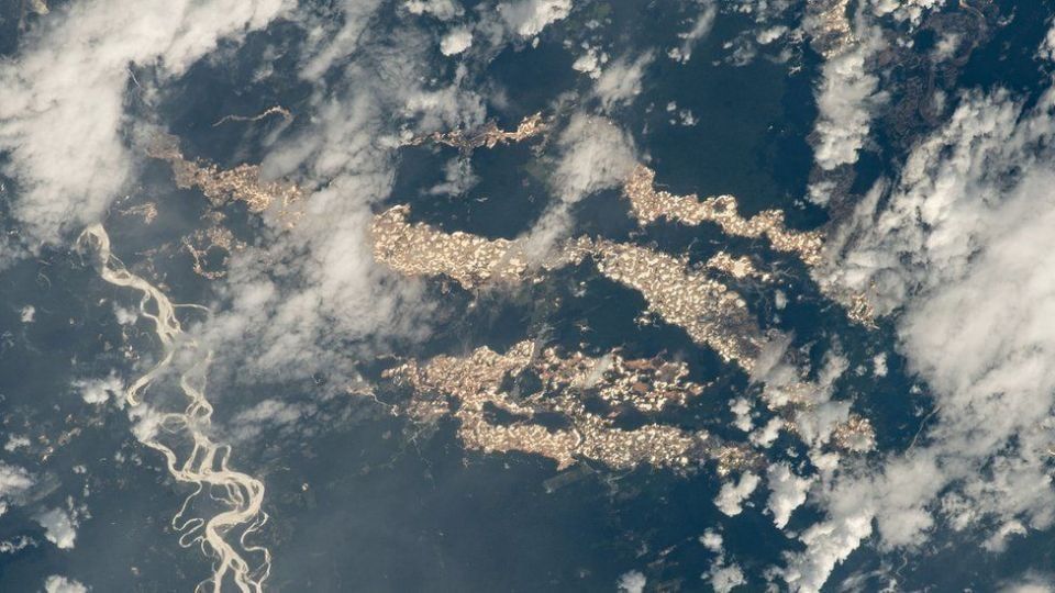 С МКС сфотографировали «золотые» реки в Амазонии