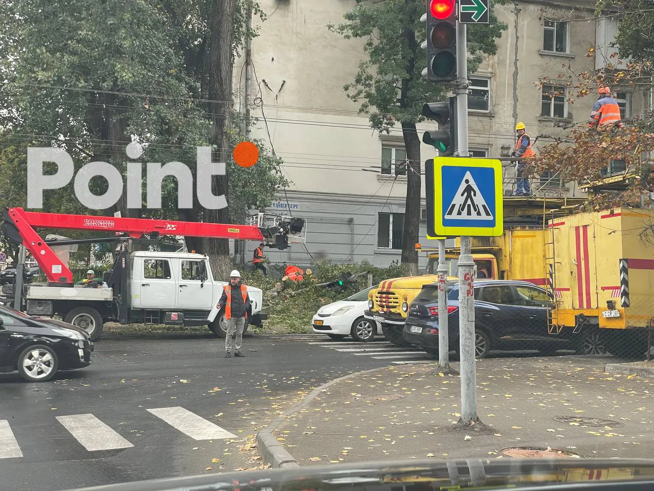 В столице дерево повалилось на дом: повреждены провода, сломан светофор