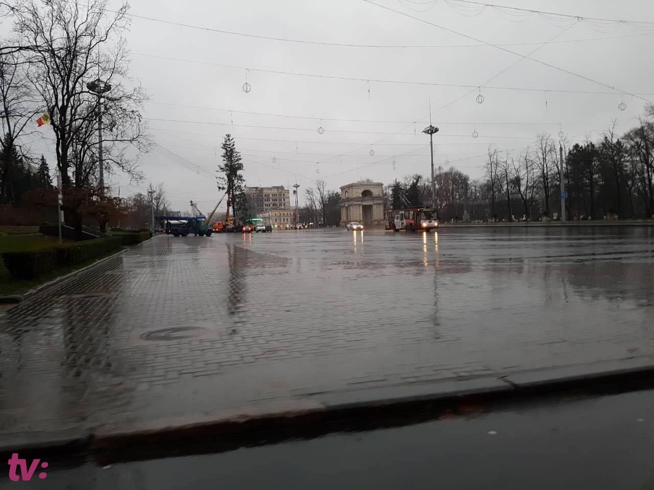 UPDATE: Cum arată bradul ajuns în PMAN. Glume și reacția Silviei Radu
