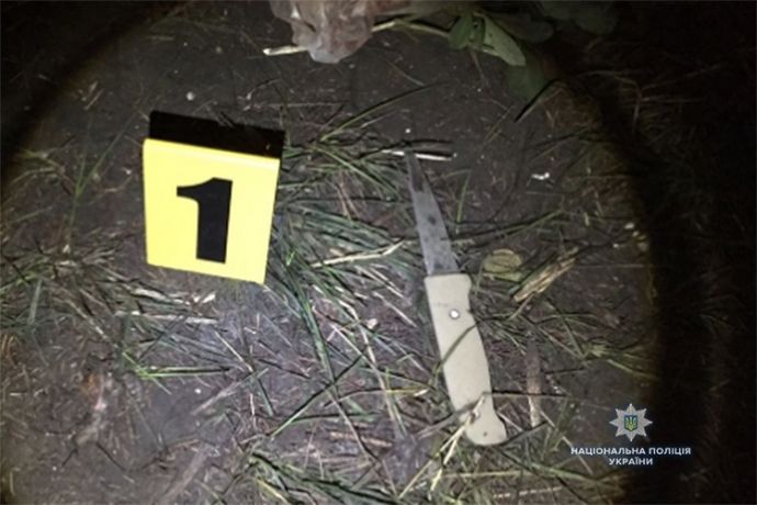 Нападавшим на лагерь ромов во Львове грозит от 15 лет до пожизненного