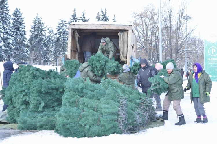 В столице демонтировали главную елку страны