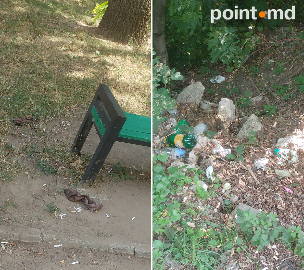 В Долине роз по-прежнему не убраны ветки и полно мусора