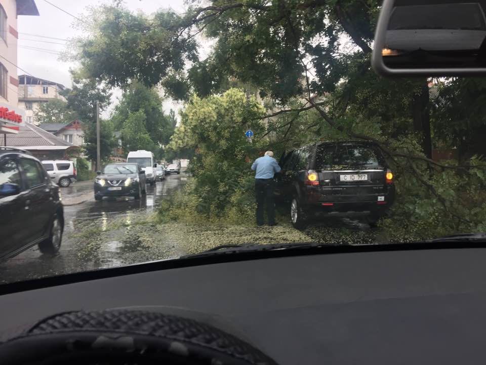 Ghinion pentru un șofer din Chișinău. O creangă i-a căzut peste mașină