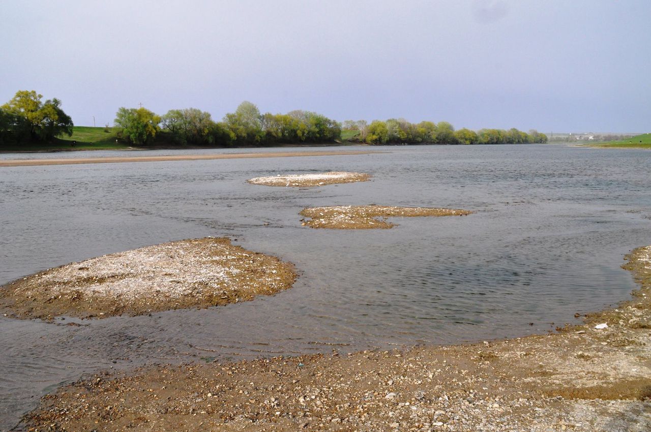 река дон обмелела