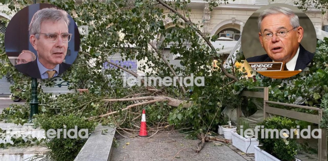В Афинах дерево упало во время ужина американских посла и сенатора