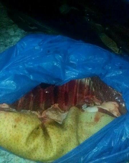 В Бессарабке остановили авто с кабаньим мясом