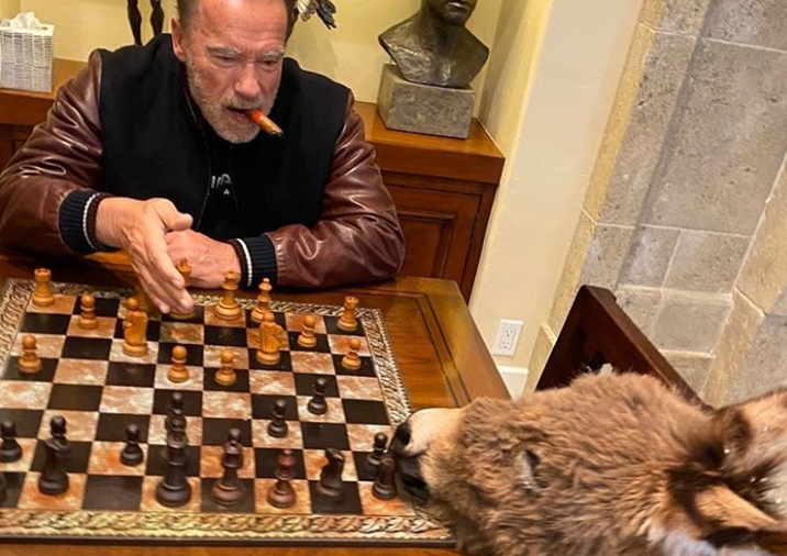 Арнольд Шварценеггер на карантине учит играть в шахматы свою ослицу Лулу