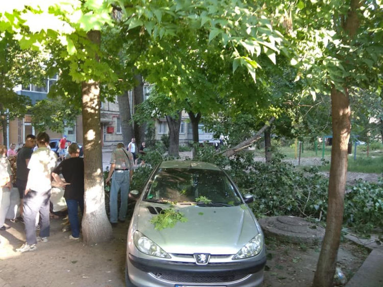 На Рышкановке дерево упало на мужчину