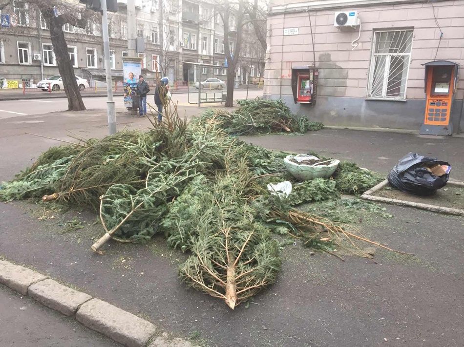 Улицы Одессы завалены непроданными елками