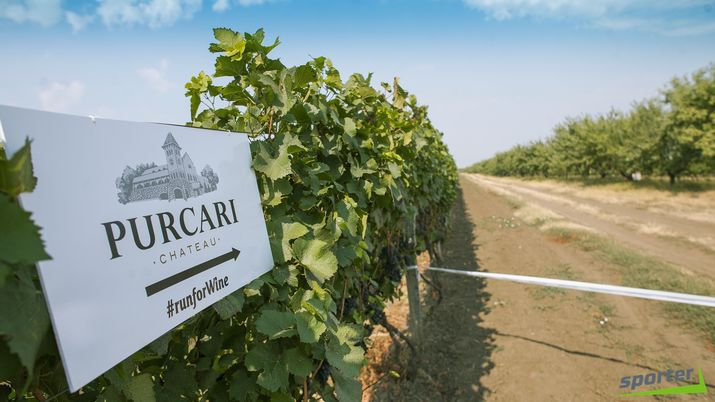 Sporter организовал первый трейловый забег по виноградникам Purcari
