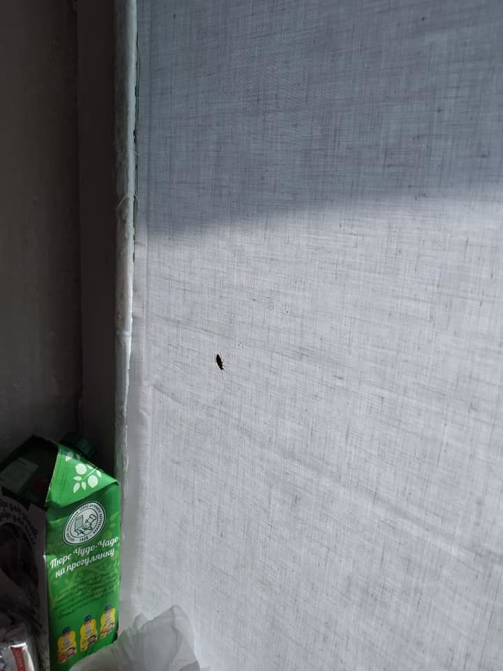 Ужасные условия в Институте матери и ребенка шокировали молодую маму