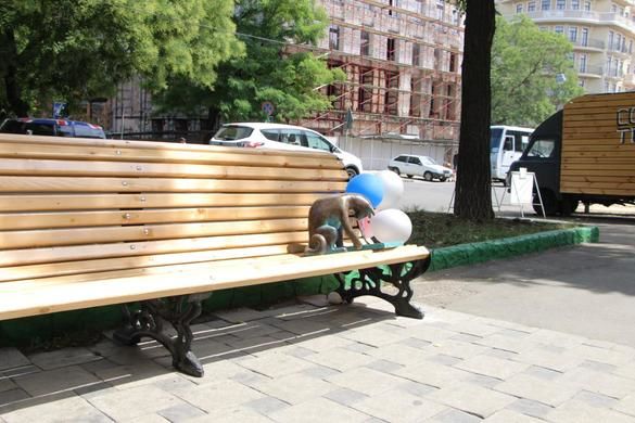 В Одессе появилась кошка – любительница гаджетов