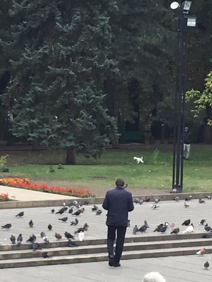 Киртоакэ вернулся из Бухареста и кормит голубей в центре Кишинева