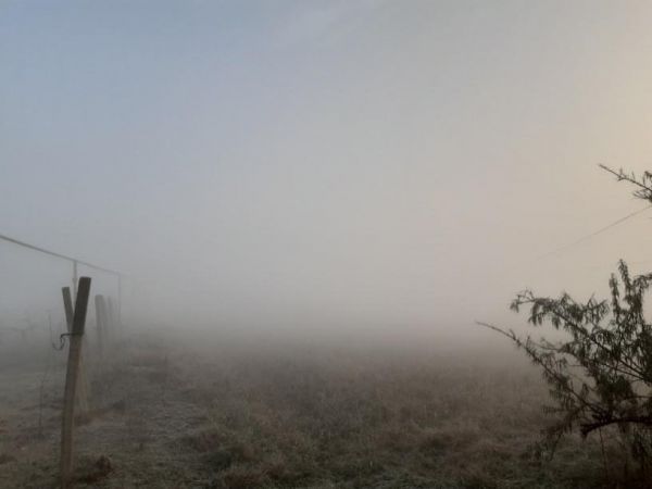 В Вулканештах вновь загорелась мусорная свалка